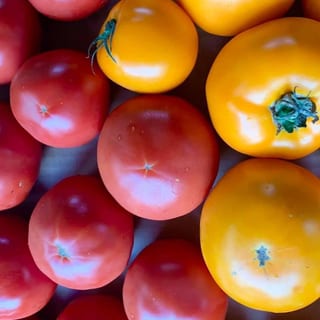 Caprese