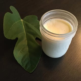 Fig Panna Cotta
